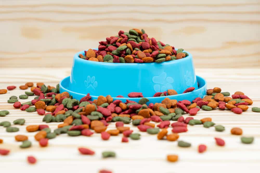 pet-bowl-with-dry-food-wooden-table